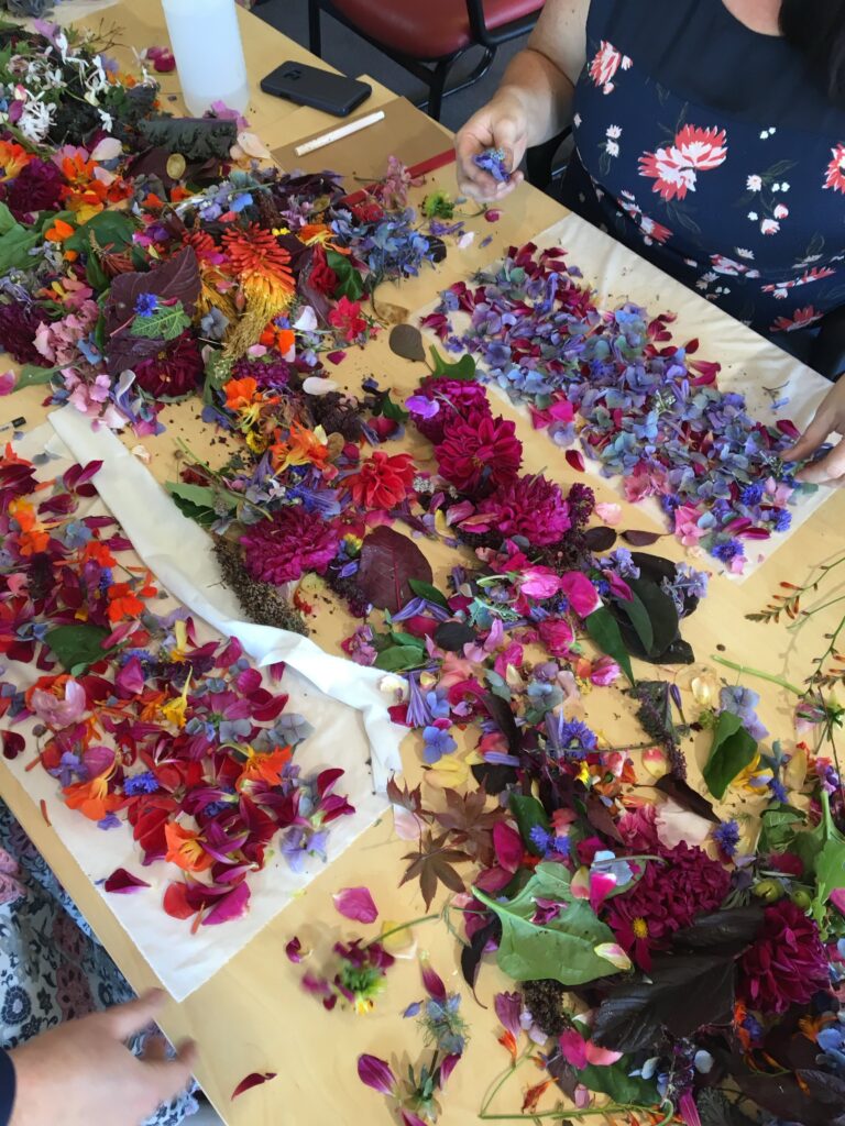 Colourful flowers and leaves arranged for botanical craft
